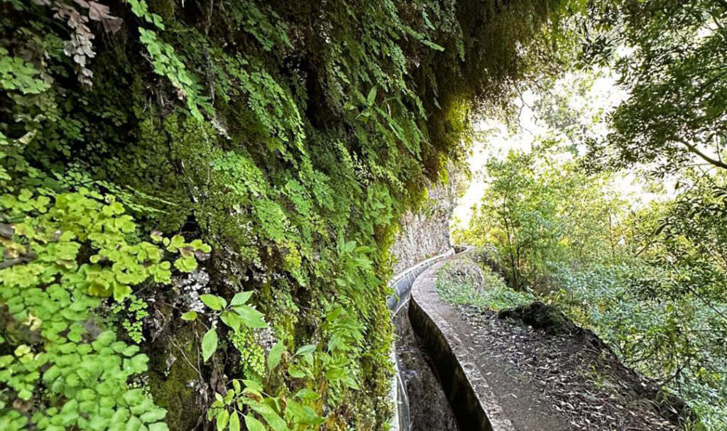 Madeira Levadas Tranquil Pathways to Exclusive Living